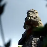 Drachenburg * Марктбрайт